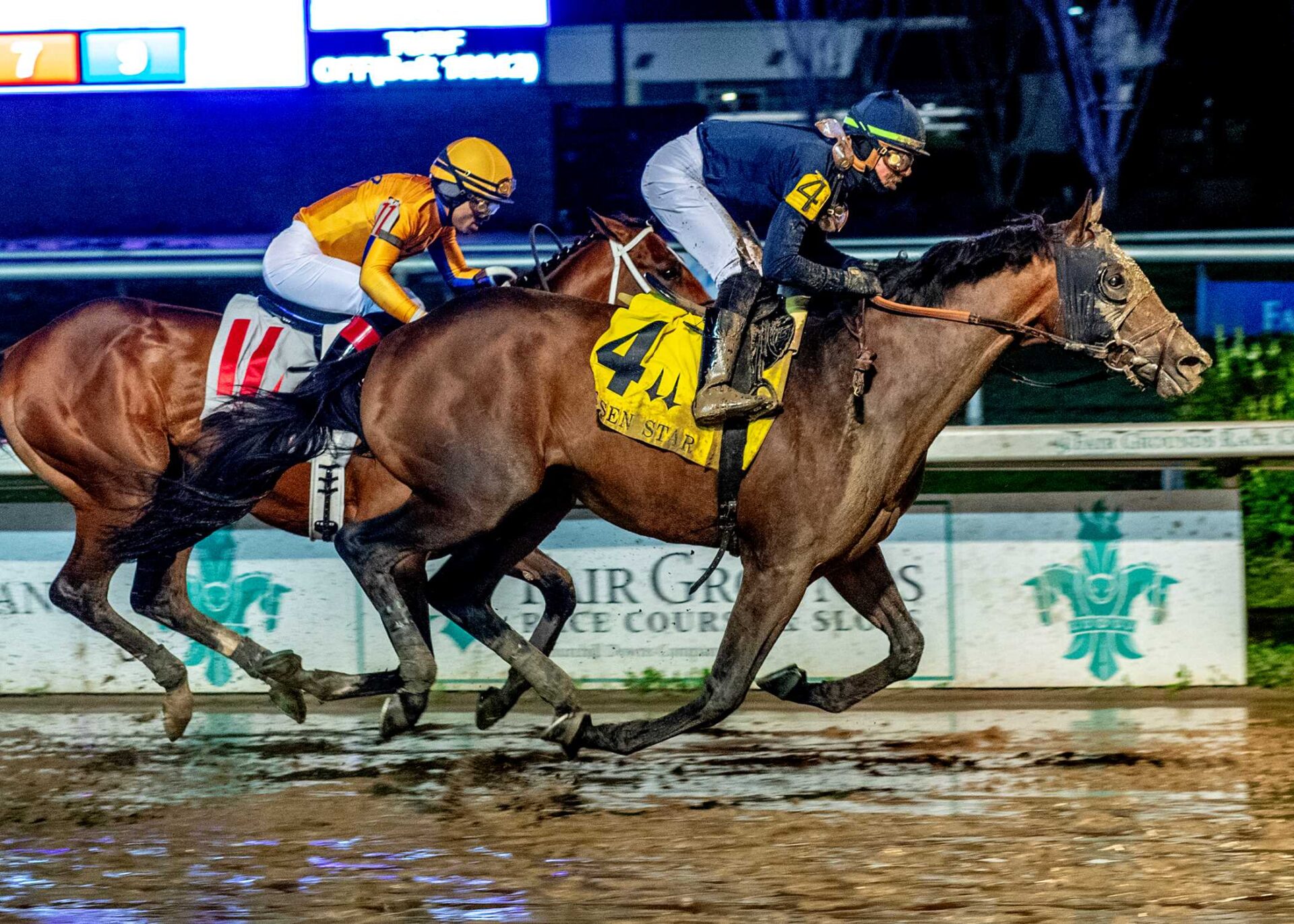 Sierra Leone, horses, Gun Runner, Risen Star Stakes, sábado, 17 de febrero de 2024, Fair Grounds. Foto: Hodges Photography