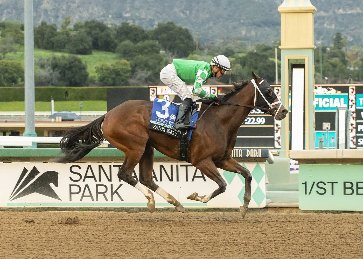 Three Witches, Horses, Into Mischief, Santa Mónica Stakes, sábado, 3 de febrero de 2024, Santa Anita Park. Foto: Benoit Photo