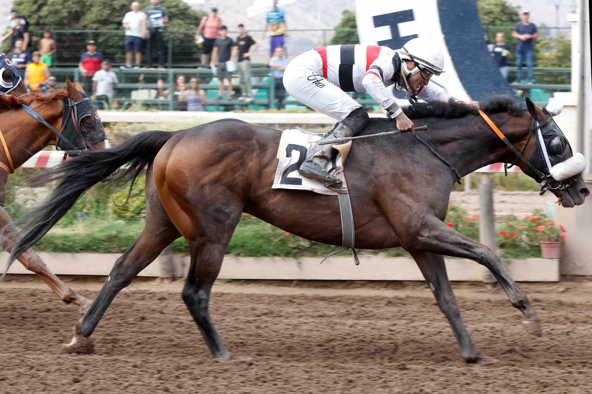 Yahshua, horse, Good Samaritan, Clásico Víctor Matetic Fernández, sábado, 10 de febrero de 2024, Hipódromo Chile. Foto: Jaime Cortés