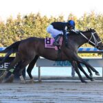 Uncle Heavy, horse, Social Inclusion, Withers Stakes, sábado, 3 de febrero de 2024, Aqueduct. Foto: Coglaniese Photo & Susie Raisher