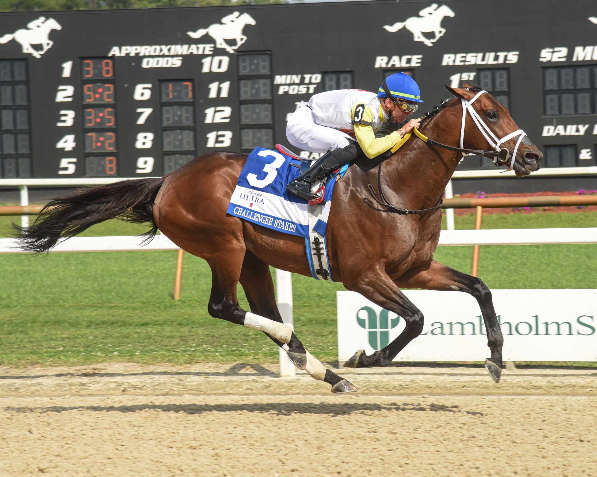 Skippylongstocking, horse, Brushy Hill LLC, Michelob Ultra Challenger, sábado, 9 de marzo de 2024, Tampa Bay Downs. Foto: SV Photography
