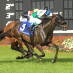 Sparkle Blue, horse, Augustin Stable, Hillsborough Stakes, sábado, 9 de marzo de 2024, Tampa Bay Downs. Foto: SV Photography