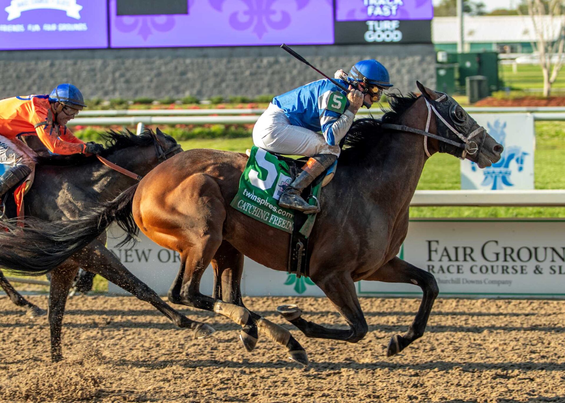 Catching Freedom, horse, Constitution, Louisiana Derby, sábado, 23 de marzo de 2024, Fair Grounds. Foto: Hodges Photography