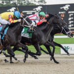 Domestic Product, horse, Klaravich Stable, Tampa Bay Derby, sábado, 9 de marzo de 2024 Tampa Bay Downs Foto: SV Photography