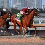 Dornoch, horse, Good Magic, Fountain Of Youth Stakes, sábado, 2 de marzo de 2024, Gulfstream Park. Foto: Coglaniese Photo & Lauren King