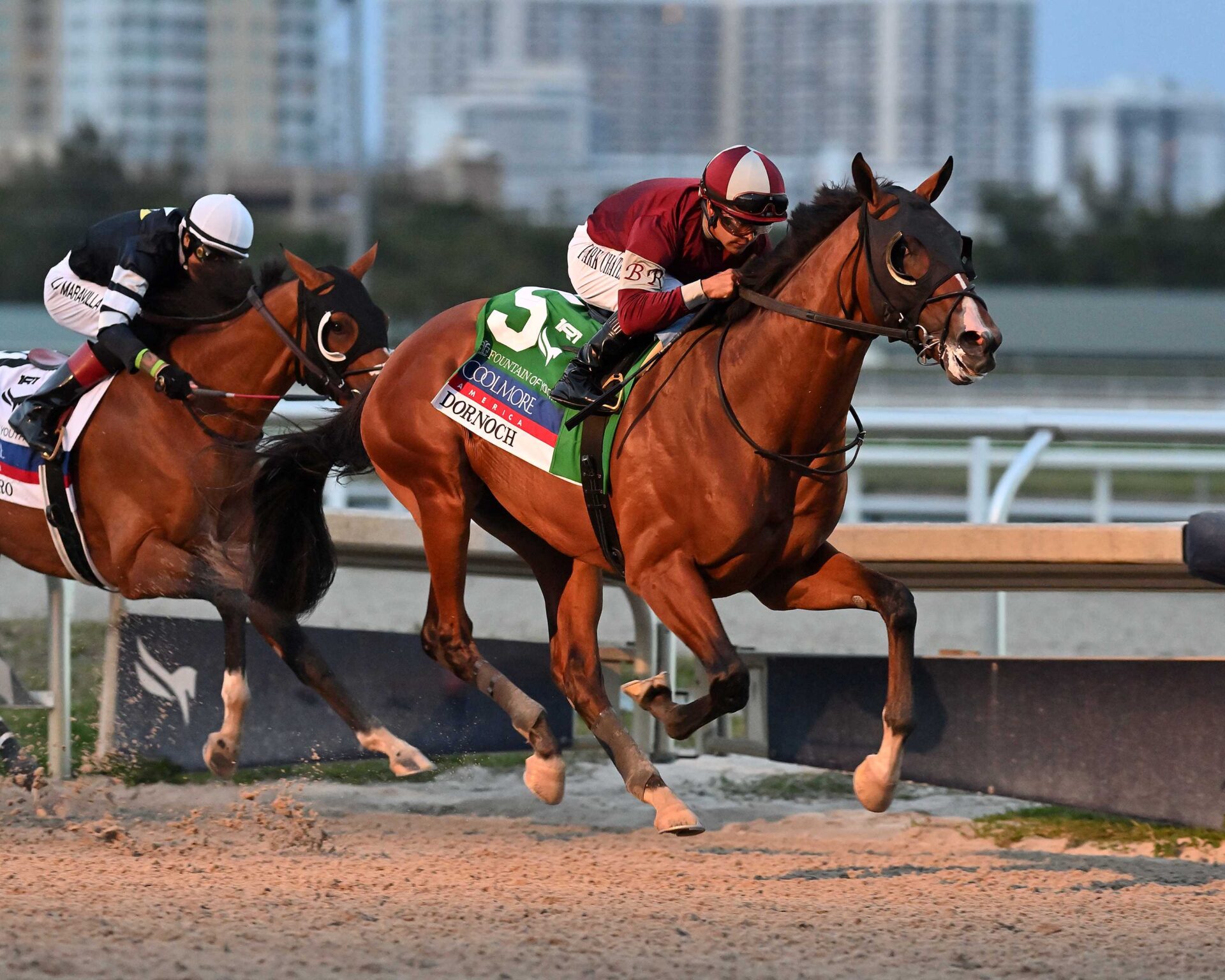 Dornoch, horse, Good Magic, Fountain Of Youth Stakes, sábado, 2 de marzo de 2024, Gulfstream Park. Foto: Coglaniese Photo & Lauren King