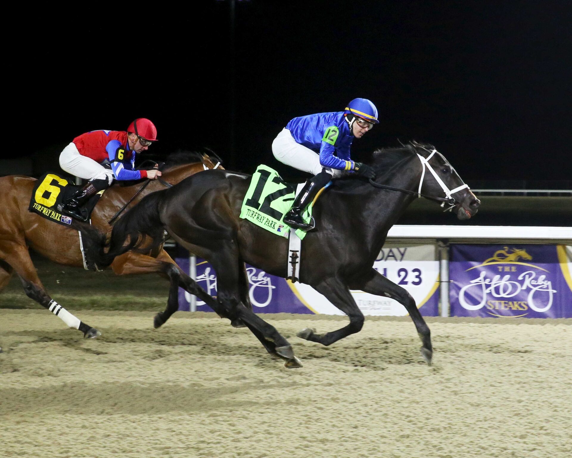 Encino, horse, Godolphin, John Battaglia Memorial Stakes, sábado, 2 de marzo de 2024, Turfway Park. Foto: Coady Photo