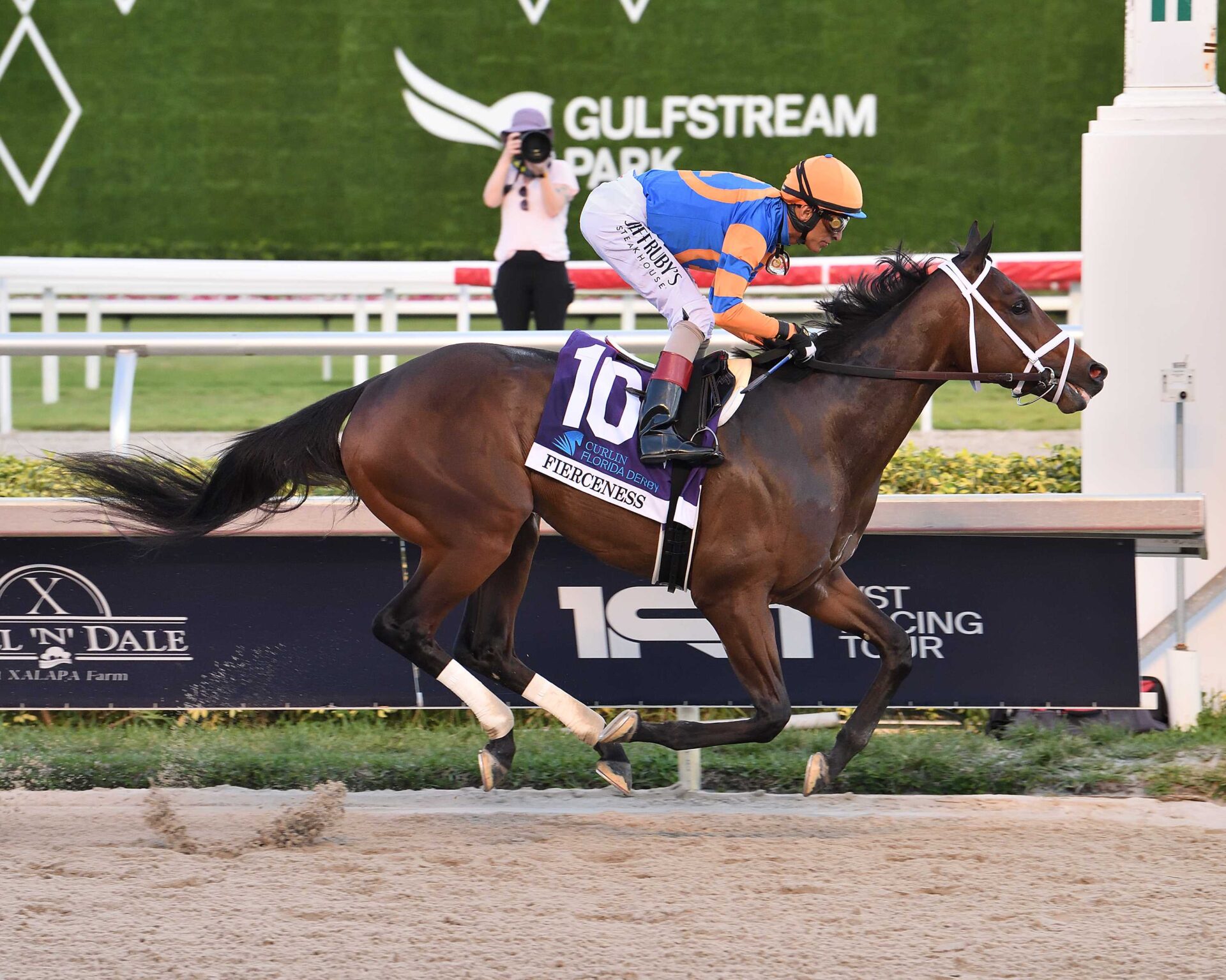 Fierceness, horses, City Of Light, Curlin Florida Derby, sábado, 30 de marzo de 2024, Gulfstream Park. Foto: Coglaniese Photo & Lauren King