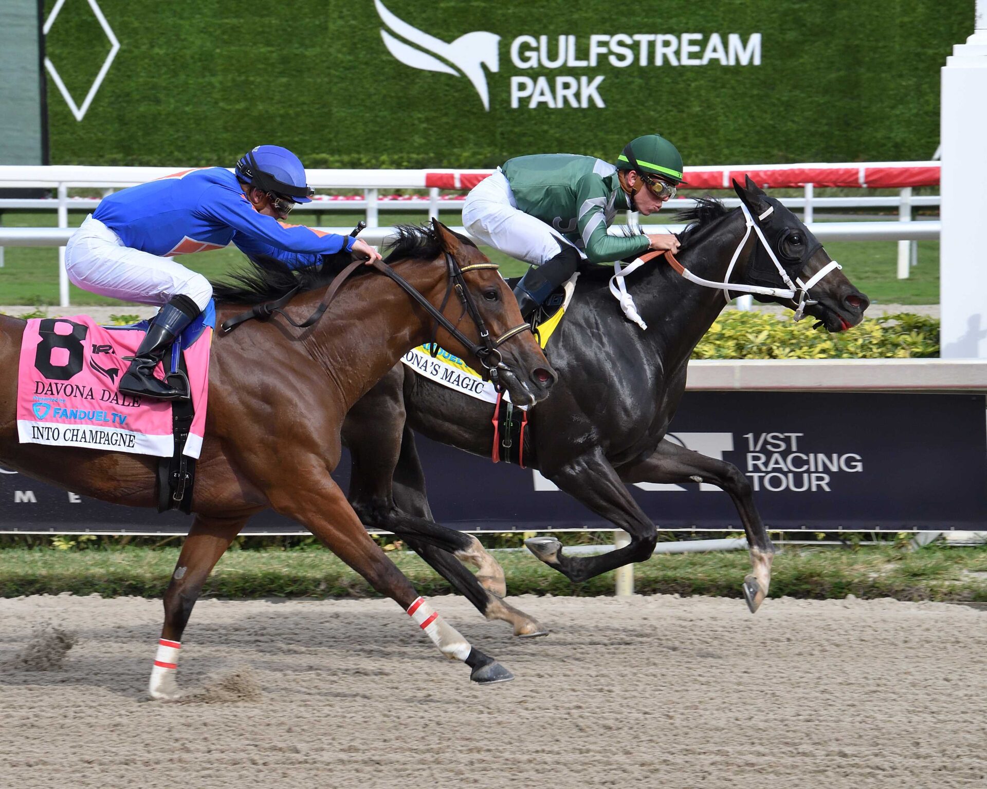 Fiona´s Magic, horse, Stonehedge, Forward Gal Stakes, sábado, 2 de marzo de 2024, Gulsftream Park. Foto: Coglianese Photo