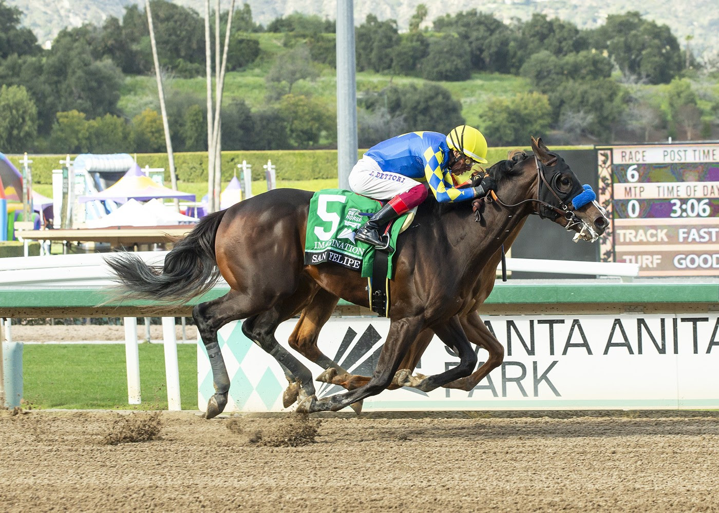 Imagination, Horses, Into Mischief, San Felipe Stakes, sábado, 2 de marzo de 2024, Santa Anita Park. Foto: Benoit Photo