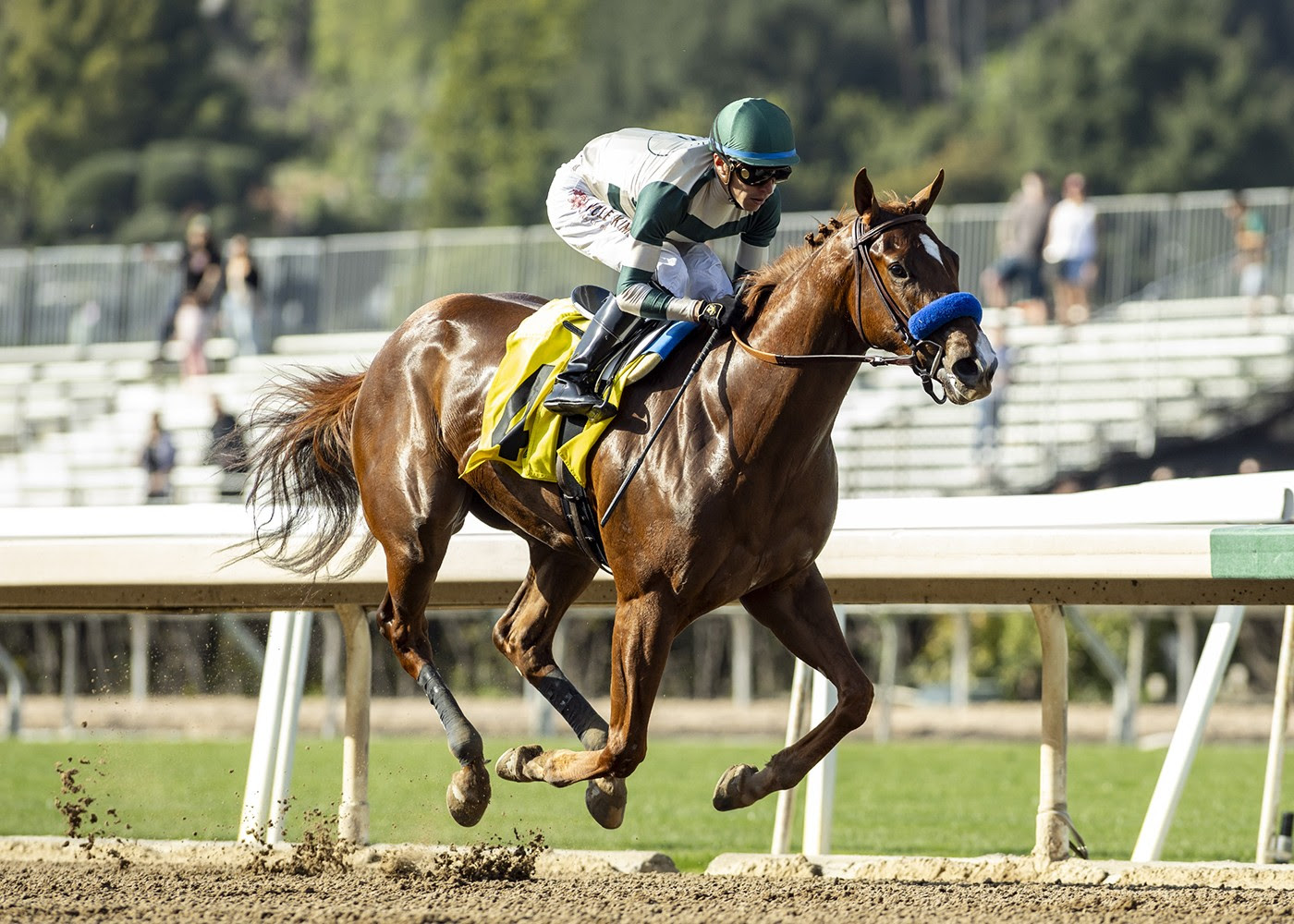 Kinza, Horses, Carpe Diem, Santa Ysabel Stakes, sábado, 9 de marzo de 2024, Santa Anita Park. Foto: Benoit Photo