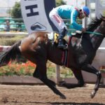La Candidata, horse, Haras Paso Nevado, Clásico Carlos Aguiar, jueves, 7 de marzo de 2024, Hipódromo Chile. Foto: Jaime Cortés