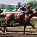 Laburador, horse, Goldencent, Clásico Hándicap de Chile, sábado, 2 de marzo de 2024, Hipódromo Chile. Foto: Jaime Cortés