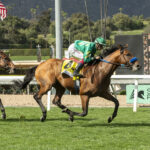 Missed The Cut, Horses, Quality Road, San Luis Rey Stakes, sábado, 23 de marzo de 2024, Santa Anita Park. Foto: Benoit Photo