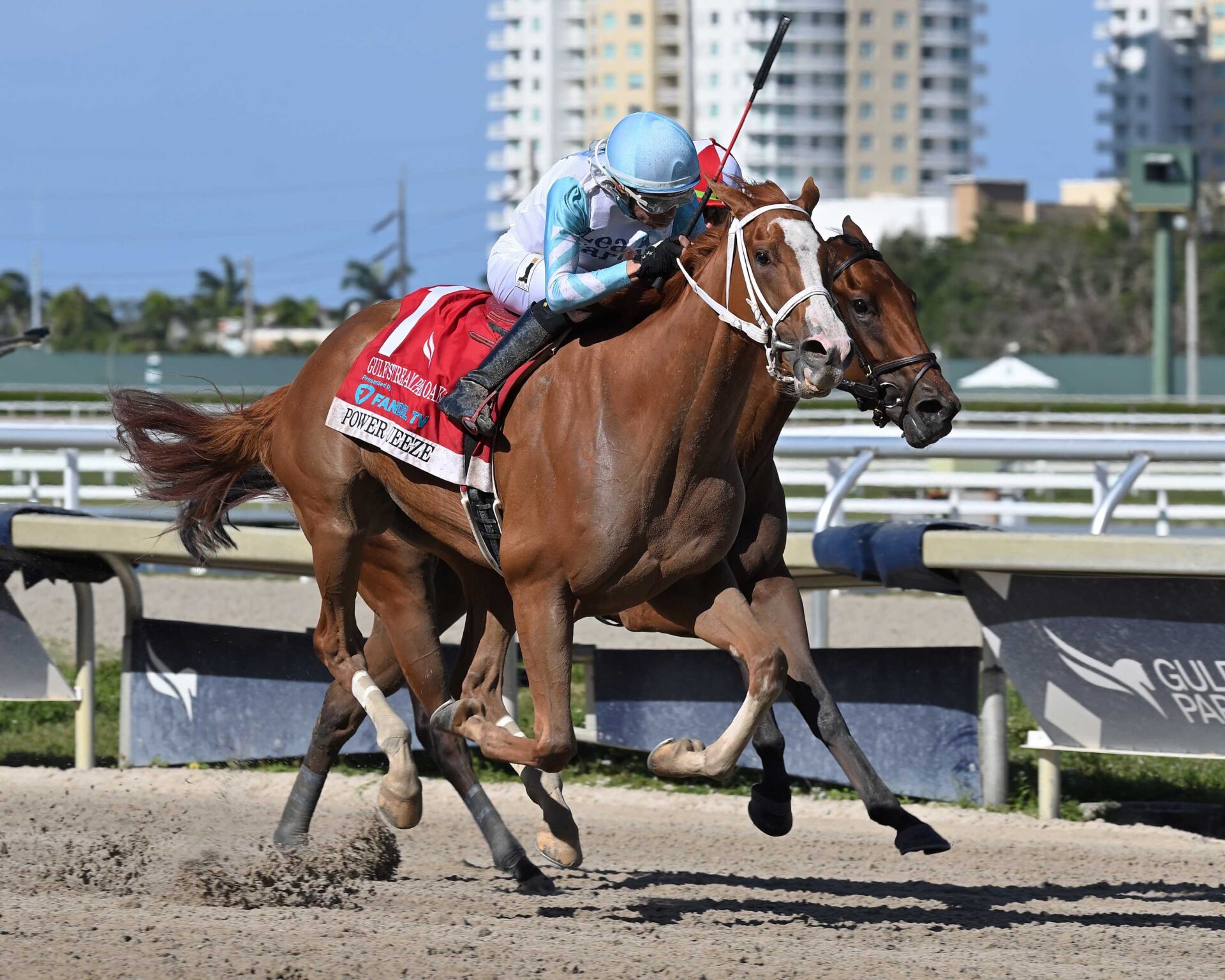 Power Squeeze, horse, Forging Oaks Farm, Gulfstream Oaks, sábado, 30 de marzo de 2024, Gulsftream Park. Foto: Coglianese Photo