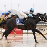 Súper Chow, horse, Lord Nelson, Tom Fool Stakes, sábado, 2 de marzo de 2024, Aqueduct. Foto: Coglaniese Photo & Susie Raisher
