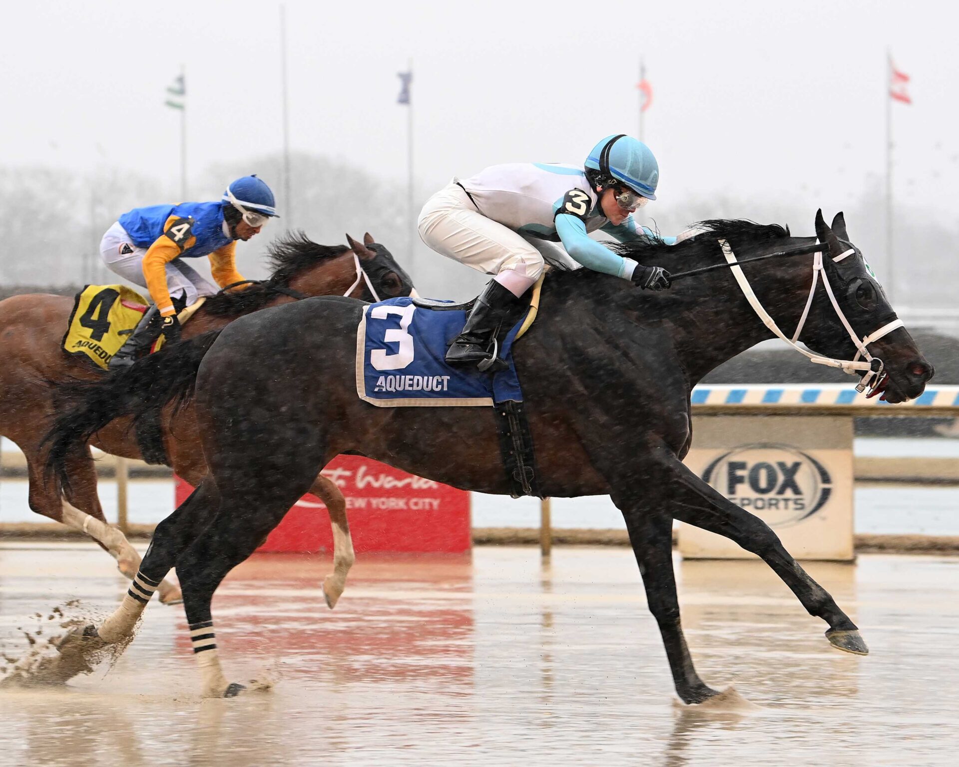 Súper Chow, horse, Lord Nelson, Tom Fool Stakes, sábado, 2 de marzo de 2024, Aqueduct. Foto: Coglaniese Photo & Susie Raisher