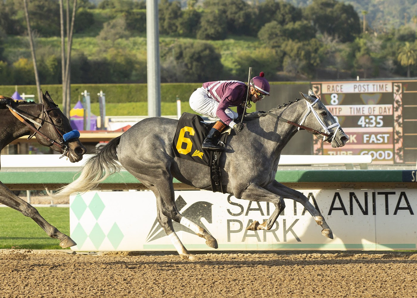 Sweet Azteca, Horses, Sharp Azteca, Beholder Stokes, sábado, 9 de marzo de 2024, Santa Anita Park. Foto: Benoit Photo