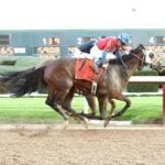 Tiny Temper, horse, Arrogate, Azeri Stakes, sábado, 9 de marzo de 2024, Oaklawn Park. Foto: Coady Photo