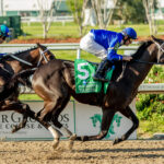 Tarifa, horses, Bernardini, Louisiana Oaks, sábado, 23 de marzo de 2024, Fair Grounds. Foto: Hodges Photography