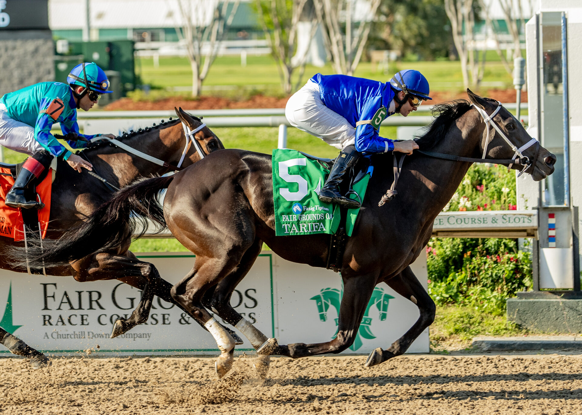 Tarifa, horses, Bernardini, Louisiana Oaks, sábado, 23 de marzo de 2024, Fair Grounds. Foto: Hodges Photography