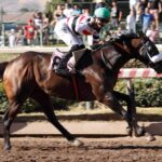 Yahshua, horse, Good Samaritan, Clásico Julio Castro Ruiz, sábado, 9 de marzo de 2024, Hipódromo Chile. Foto: Jaime Cortés