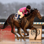 Deterministic, horse, Hinkle Farms, Gotham Stakes, sábado, 2 de marzo de 2024, Aqueduct. Foto: Coglaniese Photo & Chelsea Durand