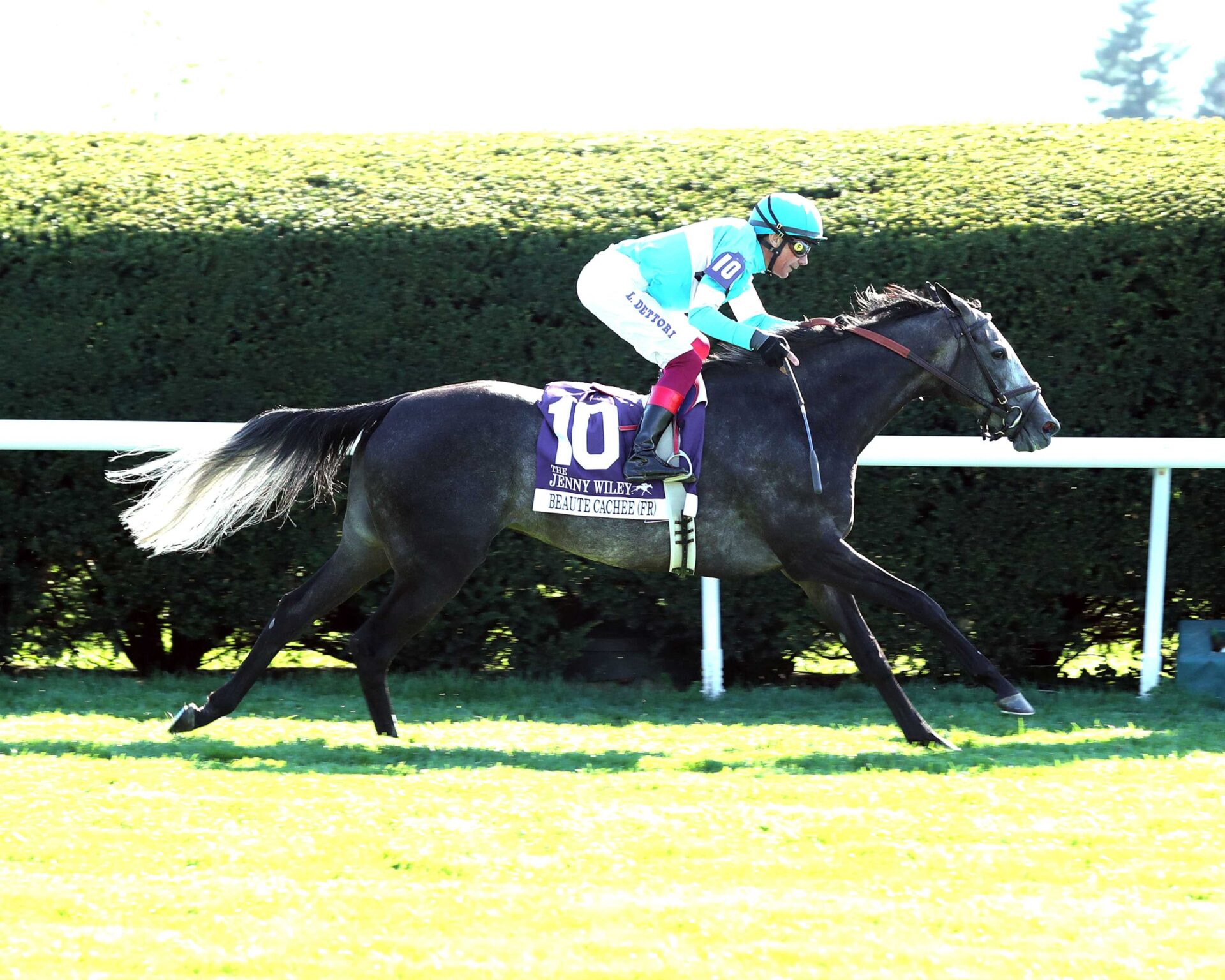Beaute Cachee, horse, Literato (FR), Jenny Wiley Stakes, sábado, 13 de abril de 2024, Keeneland. Foto: Coady Photography