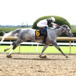 Bo Cruz, horse, Creative Casuse, Commonwealth Stakes, sábado, 6 de abril de 2024, Keeneland. Foto: Coady Photo