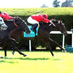 Buchu, horse, Justify, Appalachian Stakes, sábado, 6 de abril de 2024, Keeneland. Foto: Coady Photography