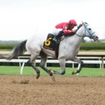 Glengarry, horse, Maximus Mischief, Lafayette Stakes, viernes, 5 de abril de 2024, Keeneland. Foto: Coady Photo