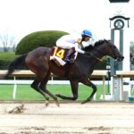 Hot Beach, horse, Cobalt Investments, Fanduel Limestone Stakes, viernes, 12 de abril de 2024, Keeneland. Foto: Coady Photo