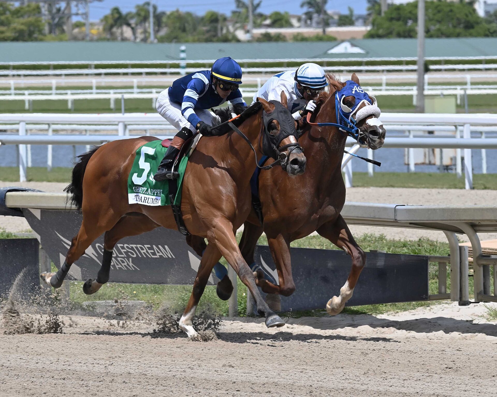 Il Miracolo, horse, Gun Runner, Ghostzapper Stakes, sábado, 30 de marzo de 2024, Gulsftream Park. Foto: Coglianese Photo