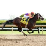 Kingsbarns, horse, Spendthrif Farm, Ben Ali Stakes, sábado, 20 de abril de 2024, Keeneland. Foto: Coady Photography