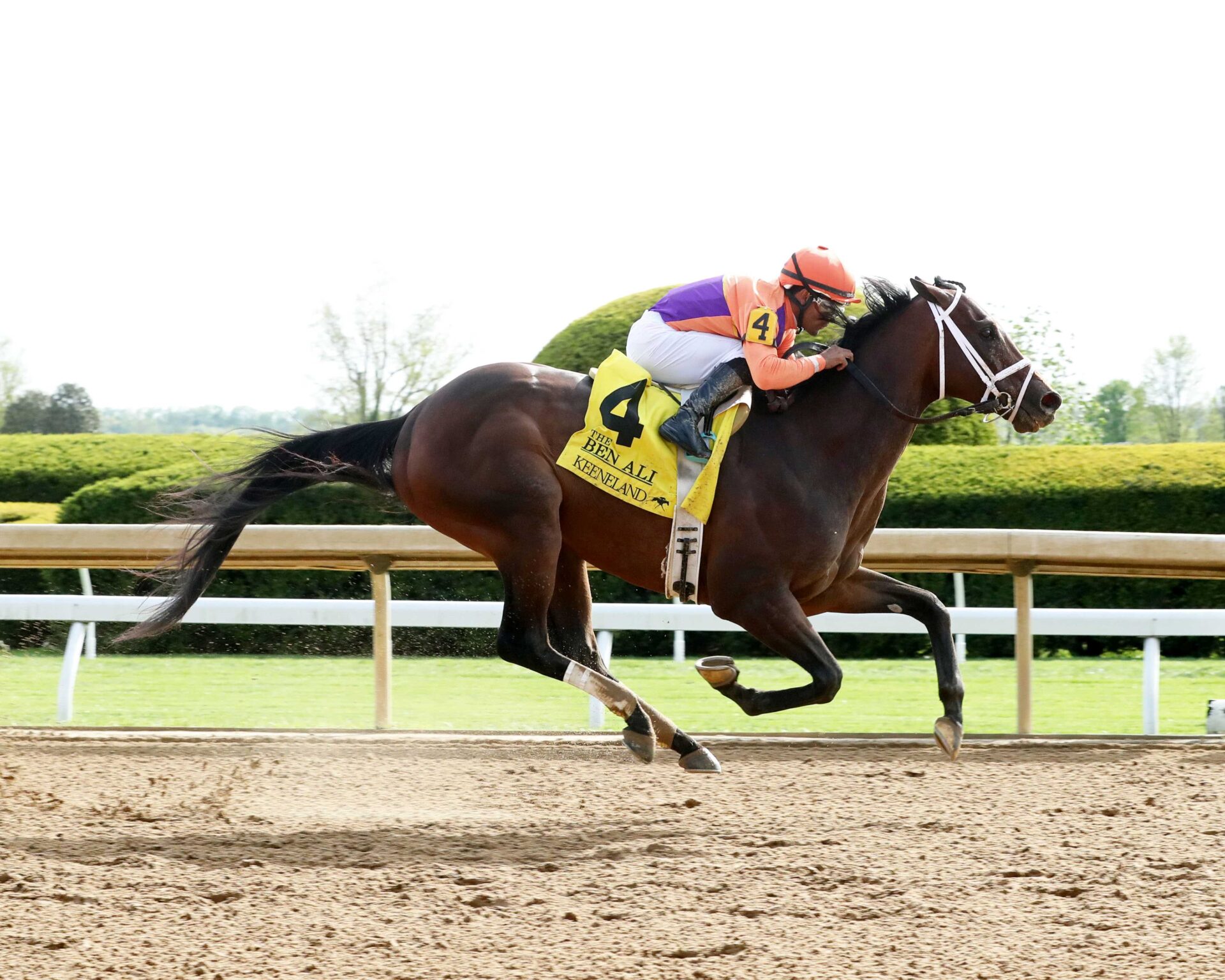 Kingsbarns, horse, Spendthrif Farm, Ben Ali Stakes, sábado, 20 de abril de 2024, Keeneland. Foto: Coady Photography