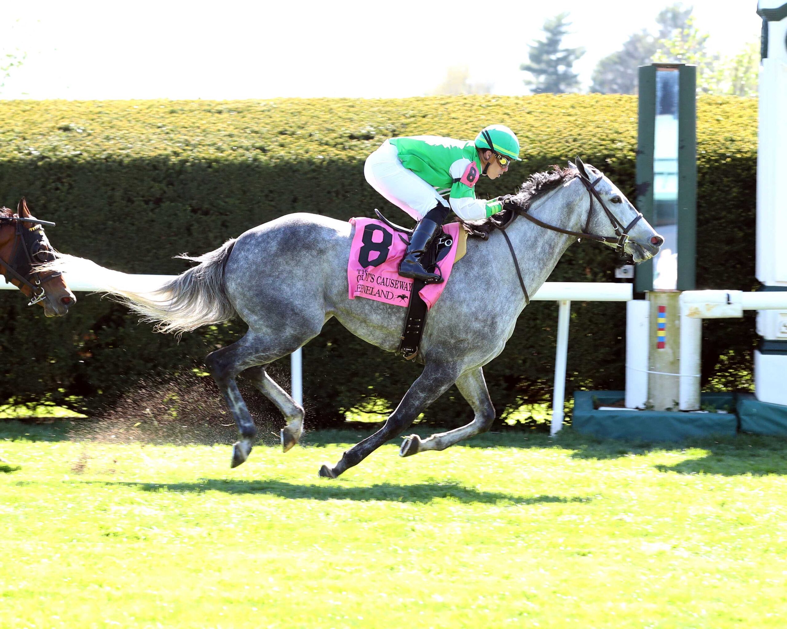 Debra Hammer Racing Roses For Debra retornó al máximo para ganar el Giants Causeway Stakes ...