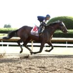 Sierra Leone, horses, Gun Runner, Blue Grass Stakes, sábado, 6 de abril de 2024, Keeneland. Foto: Coady Photo