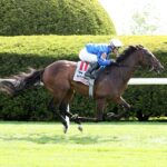 Silver Knott, horse, Godolphin, VisitLEX Elkhorn Stakes, sábado, 20 de abril de 2024, Keeneland. Foto: Coady Photography