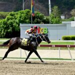 Fast Sensations, horse, Haras Los Caracaros, Clásico Gustavo Ávila, domingo, 19 de mayo de 2024, La Rinconada. Foto: José Antonio Aray