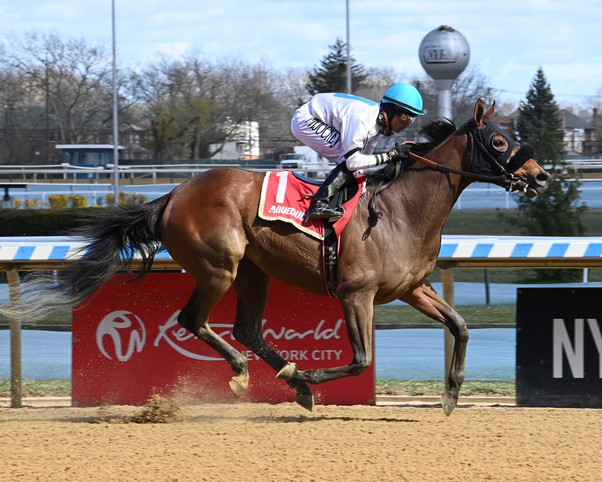 Where´s My Ring, horse, Don Alberto Corporation, Gazelle Stakes, sábado, 6 de abril de 2024, Aqueduct. Foto: Coglaniese Photo & Susie Raisher