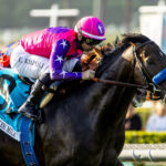 Johannes, Horses, Cuyathy, Shoemaker Mile Stakes, lunes, 27 de mayo de 2024, Santa Anita Park. Foto: Benoit Photo