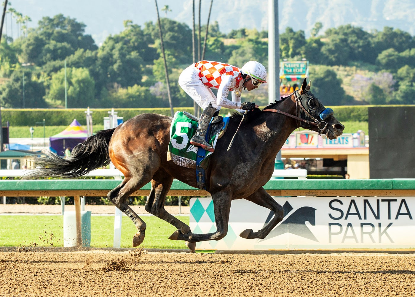 Mr. Fisk, Horses, Arrogate, Hollywood Gold Cup Stakes, lunes, 27 de mayo de 2024, Santa Anita Park. Foto: Benoit Photo
