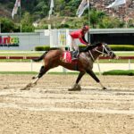 Templario, horse, Haras La Invasión, Clásico Ejército, domingo, 9 de junio de 2024, La Rinconada. Foto: José Antonio Aray
