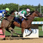 Accede, horses, Into Mischief, Bed O´ Roses Stakes, sábado, 15 de junio de 2024, Belmont At The Big A. Foto: Coglianese Photo & Susie Raisher