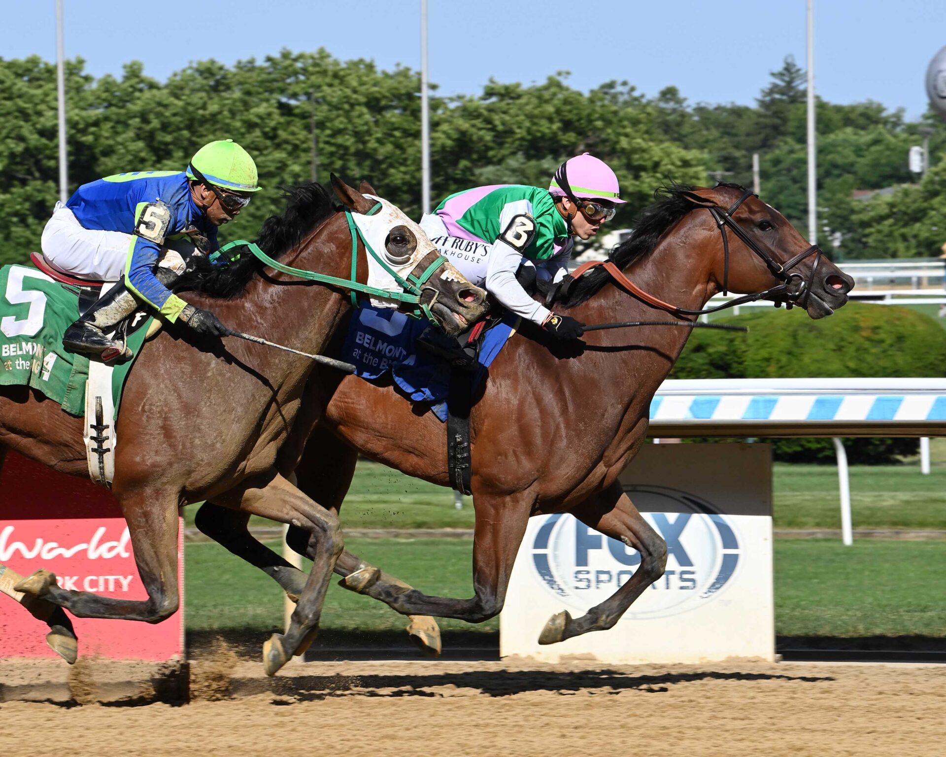 Accede, horses, Into Mischief, Bed O´ Roses Stakes, sábado, 15 de junio de 2024, Belmont At The Big A. Foto: Coglianese Photo & Susie Raisher