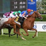 Chili Flag Horses, Cityscape, Just A Game Stakes, sábado, 7 de junio de 2024, Saratoga. Foto: Coglianese Photo & Susie Raisher