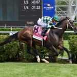 Cogburn, horses, Bellary Bloodstock, Jaipur Stakes, sábado, 8 de junio de 2024, Saratoga. Foto: Coglianese Photo & Susie Raisher