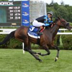 Didia, Horses, La Manija, New York Stakes By Rivers Casino, viernes, 7 de junio de 2024, Gulsftream Park. Foto: Coglianese Photo & Susie Raisher