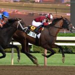 Dornoch, horse, Good Magic, Belmont Stakes, Belmont Stakes, sábado, 8 de junio de 2024, Saratoga. Foto: Coglaniese Photo & Susie Raisher
