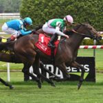 Segesta, horses, Ghostzapper, Wonder Again Stakes, lunes, 27 de mayo de 2024, Belmont At The Big A. Foto: Coglianese Photo & Susie Raisher